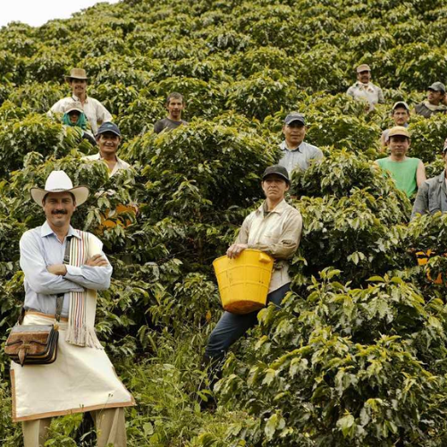 SANTA ISABEL | COLOMBIA - HUILA