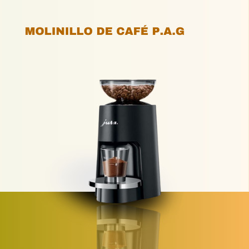 MOLINILLO JURA P.A.G